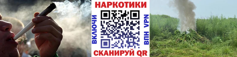 Как найти наркотики Почеп NBOMe ГАШ Конопля A-PVP
