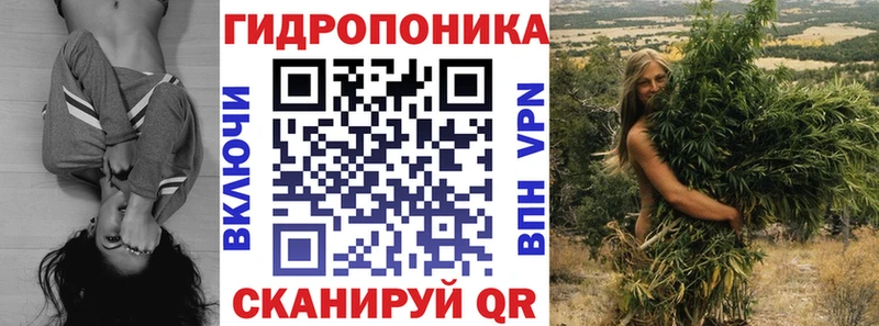 мориарти как зайти  Почеп  Конопля Amnesia 